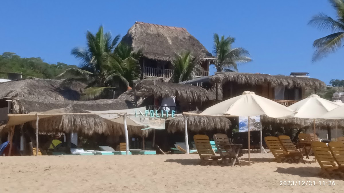 Cafe Maya - Casa Acalli